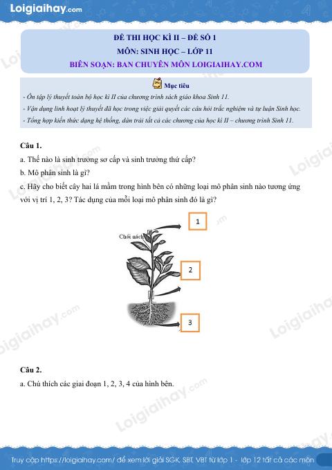 Đề số 1 – Đề kiểm tra học kì 2 – Sinh 11